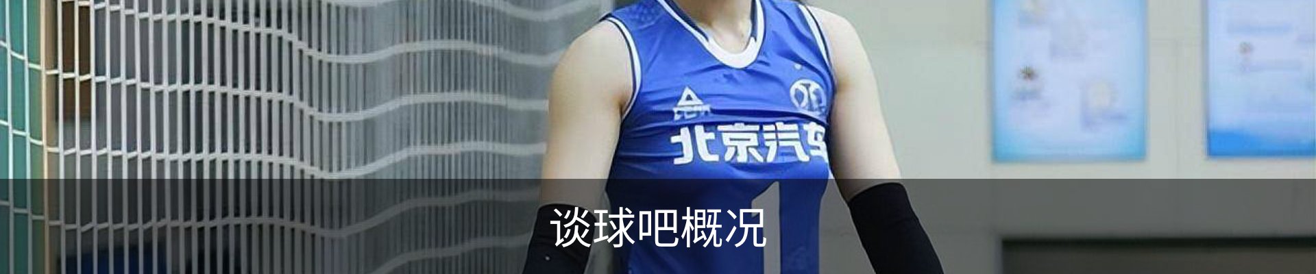 谈球吧概况